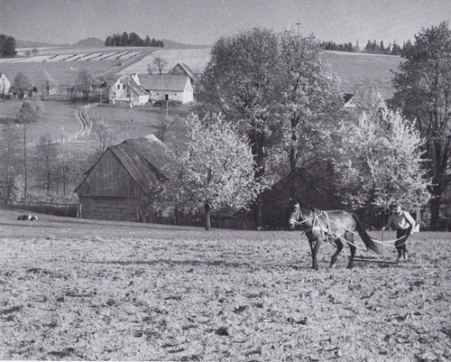 Bobischau boboszów bauer - boboszów-,