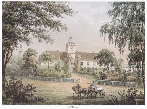 Schloß dambrau dąbrowa nach - schloß,